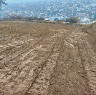 Endergebnis der planierten Obstwiese