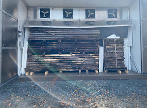 IMG-1933_edited.jpg