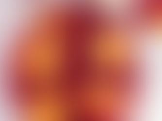 HOLIDAY CHAMPAGNE PUNCH