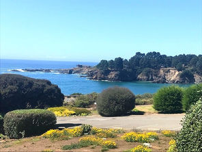 Three Days in Mendocino, California