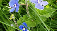 20180609_122822.jpg