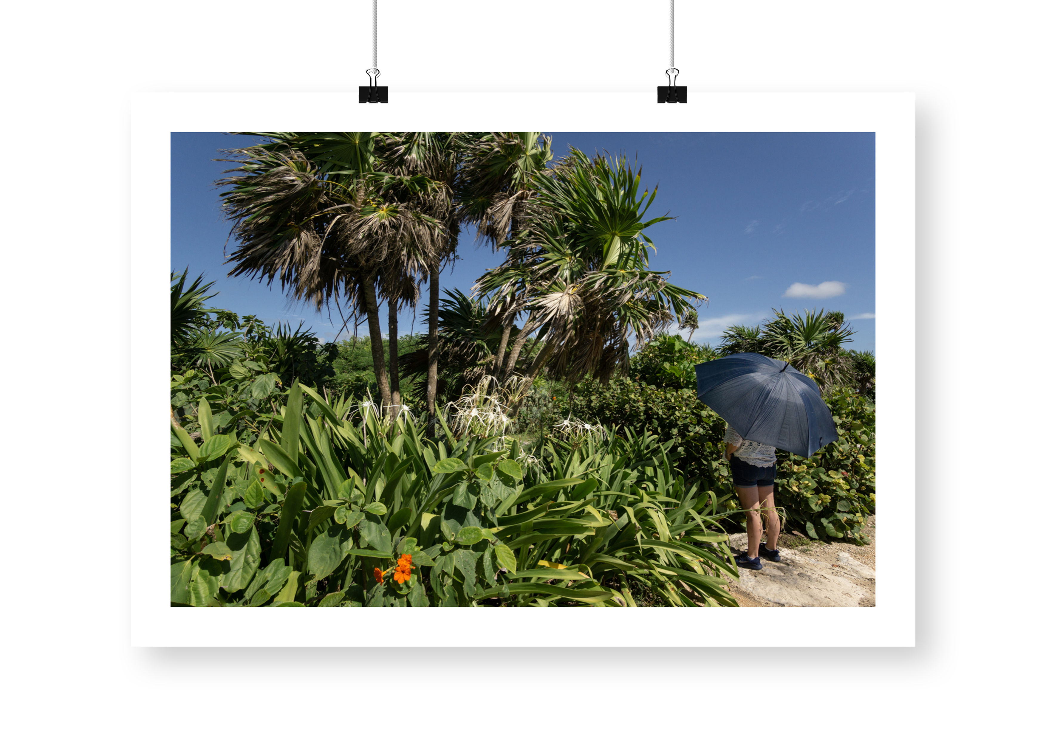 La Hollandaise, Tulum, Mexique
