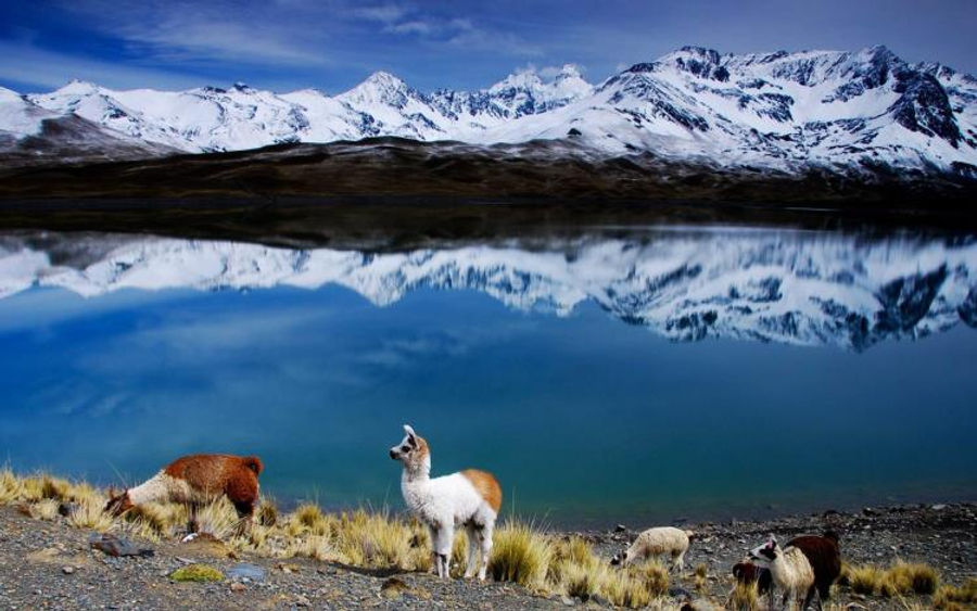 Tips_para_viajar_a_Bolivia.jpg