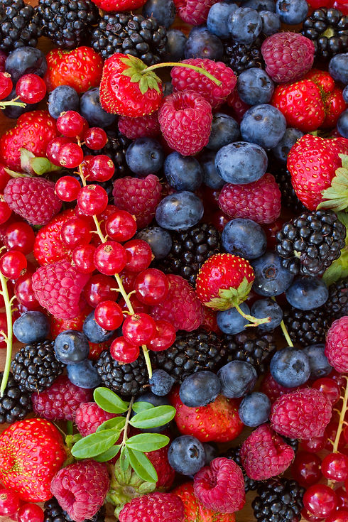 bulk berry blend bulk berry ingredients.