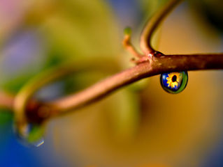 The Art of Refraction in Photography