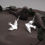 Miniature : Envol - Boucles d'oreilles pendantes en Argent 925