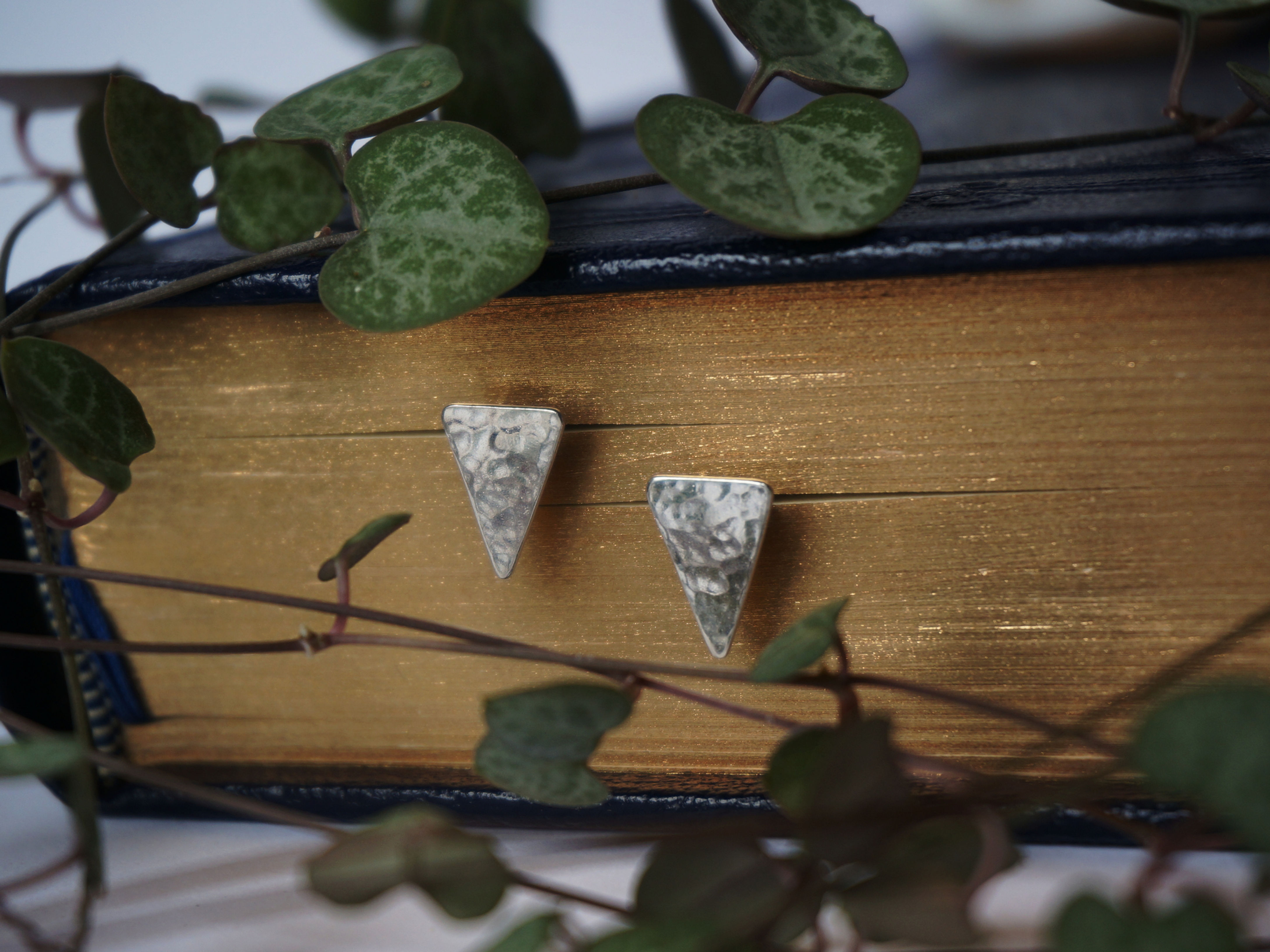 Lumière - Puces d'oreilles