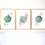 Miniature : Affiches A4 Fleur de Lune Rondes (3 modèles)