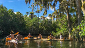 experiential therapy for young adults in recovery