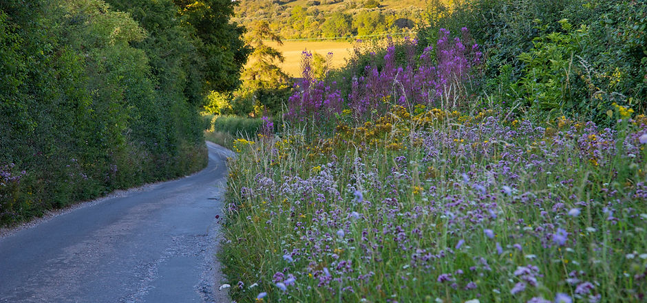 road_verge_original.jpg