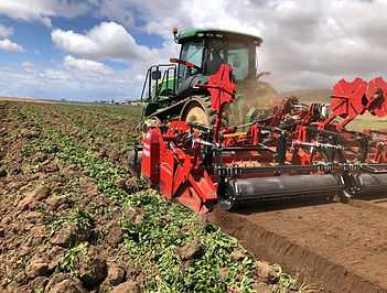 Veggies (Larger Operations)