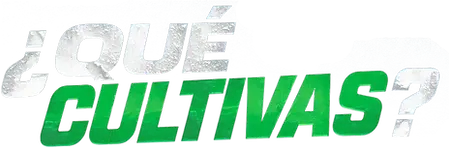 TÍTULO Qué cultivas Webp.png