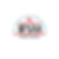 IFSM Affiliate member logo.png