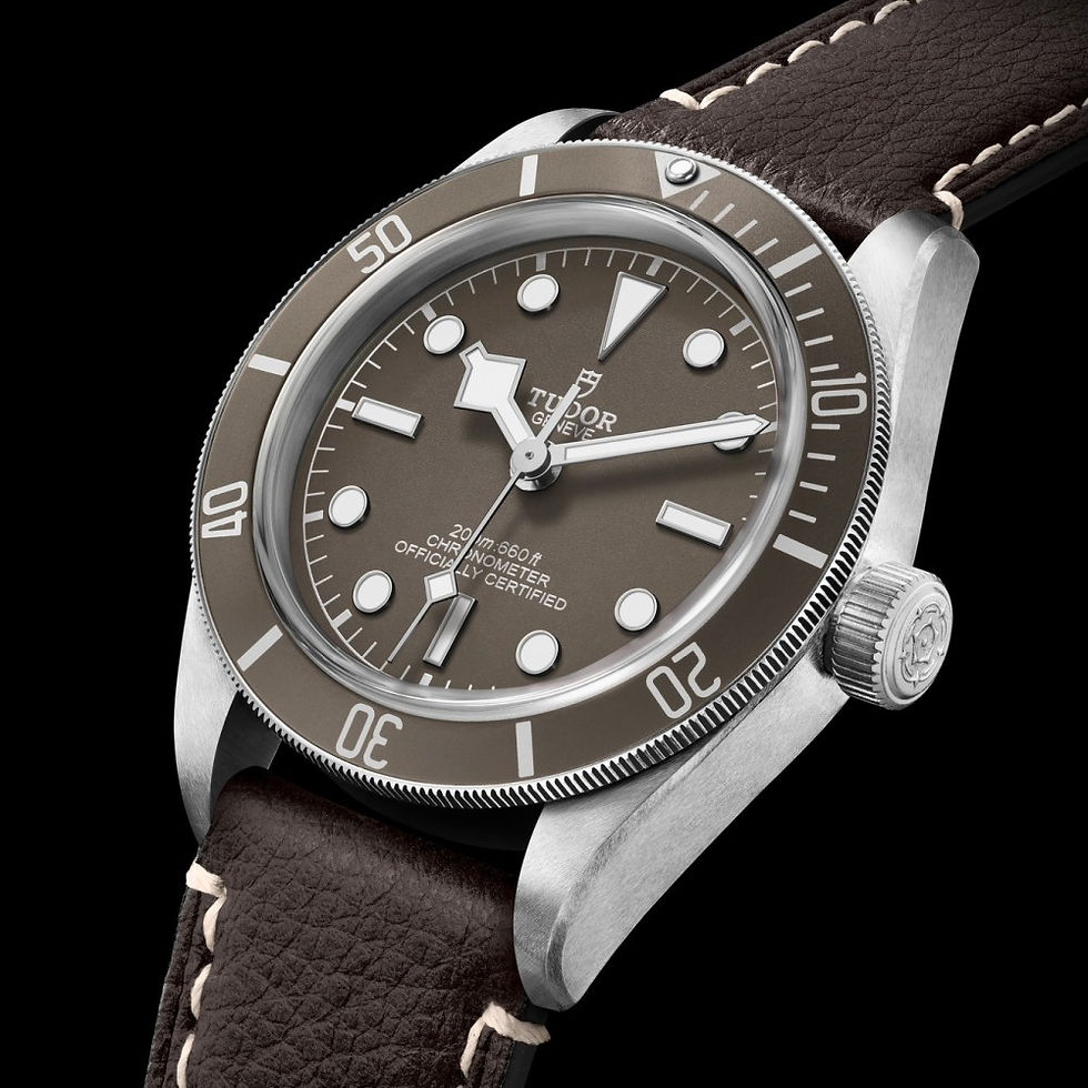 Thumbnail: Tudor 2021 Black Bay Fifty Eight 925 Silver