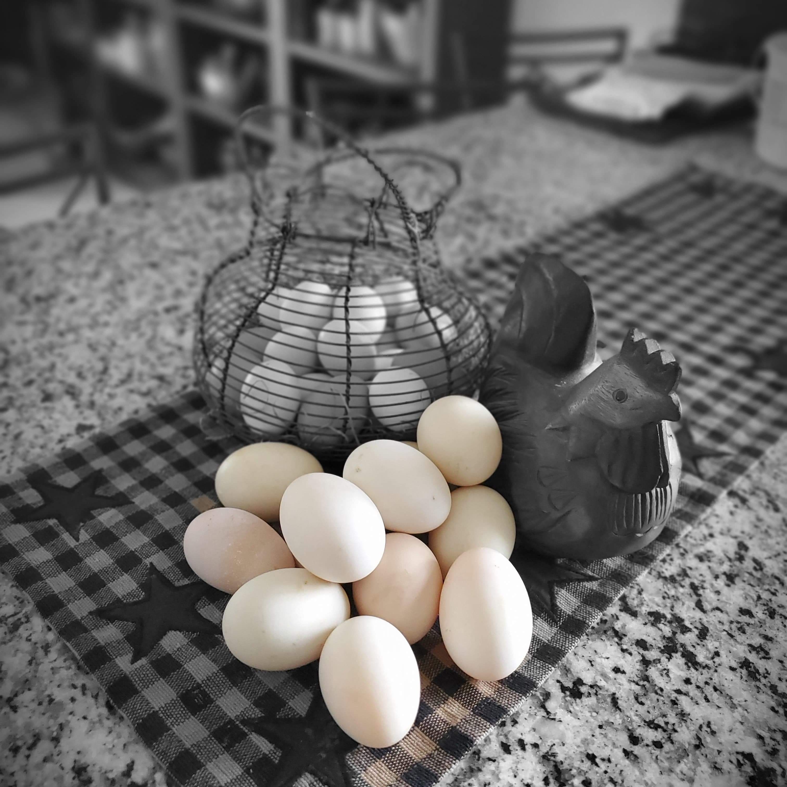 Writer: wilsonscarolinacoo