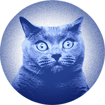 cat_circle.png