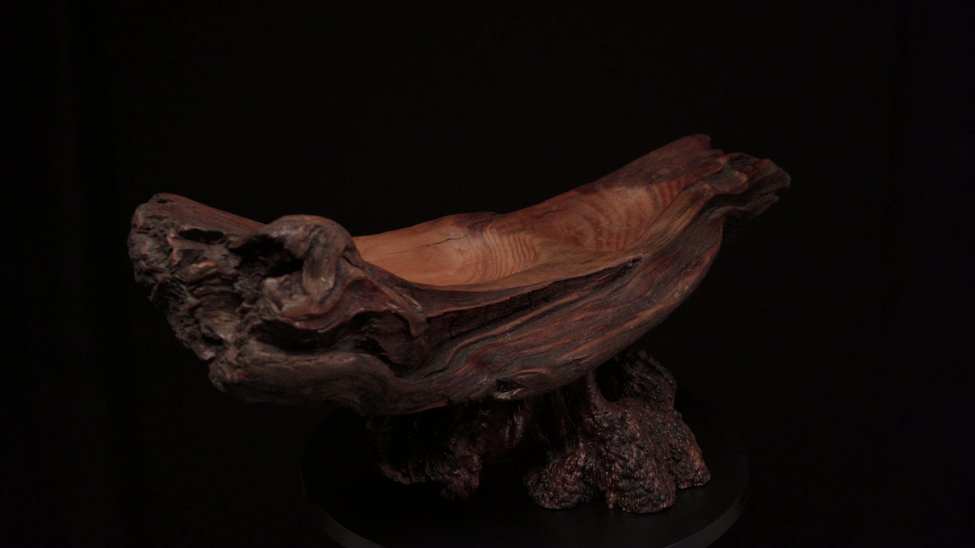 Jonah's Whale