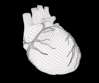 3D Animated Heart Model