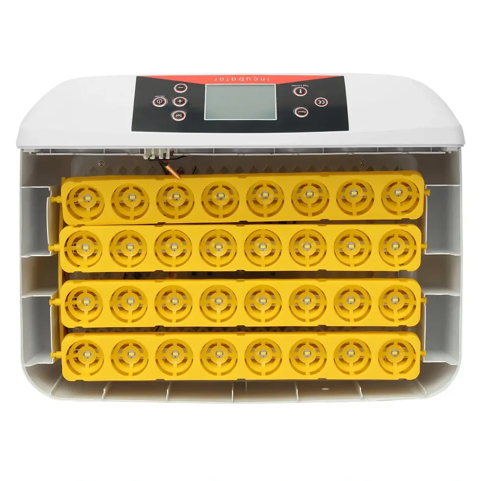 Miniature : Incubateur numérique électronique à 32 positions éclosoir automatique pour oeufs