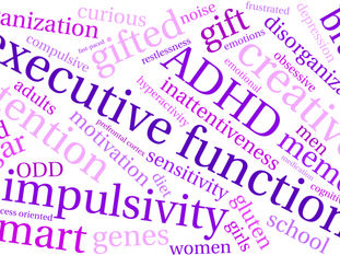 Executive Function and the Twenty-sided Die Games: