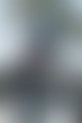 Connor O’Sullivan Confirmed for Drift GP at Pukekohe Park Raceway