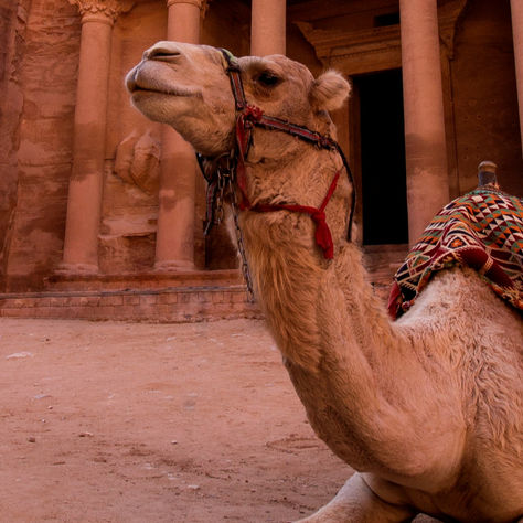 Une Rencontre Inoubliable aux Portes des Merveilles