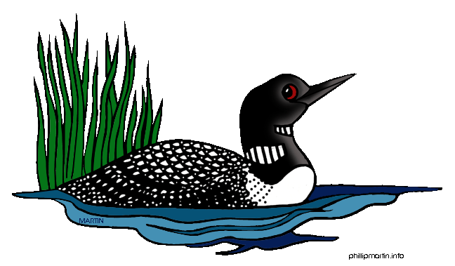 Hand Painted Loon