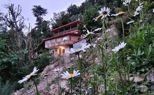 chakrata-green-in-summer