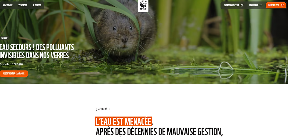 Eau Secours ! Des polluants invisibles dans nos verres