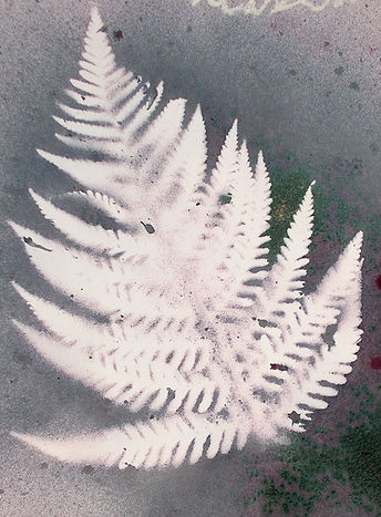 empreinte hibiscus et bicarbonate.jpg