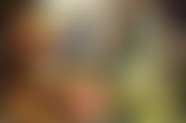 Welcome To Barn Star Primitives Blog