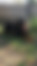 sahiplendirme için kedi ilanlari gösteren ikinci küçük fotoğraf