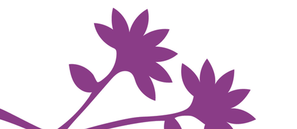 Hund Illu Tapeit Homepage Banner Web.jpg