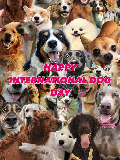 Happy International Dog Day