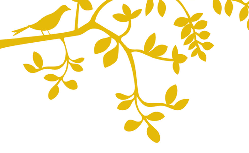 HaseKatzeHund Illu Tapeit Homepage Banner Web.jpg