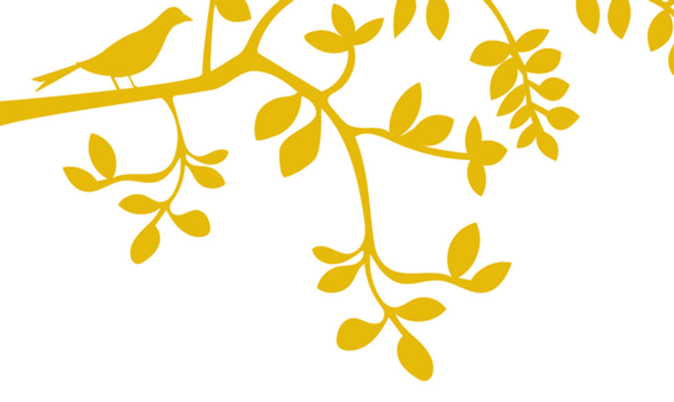 HaseKatzeHund Illu Tapeit Homepage Banner Web.jpg