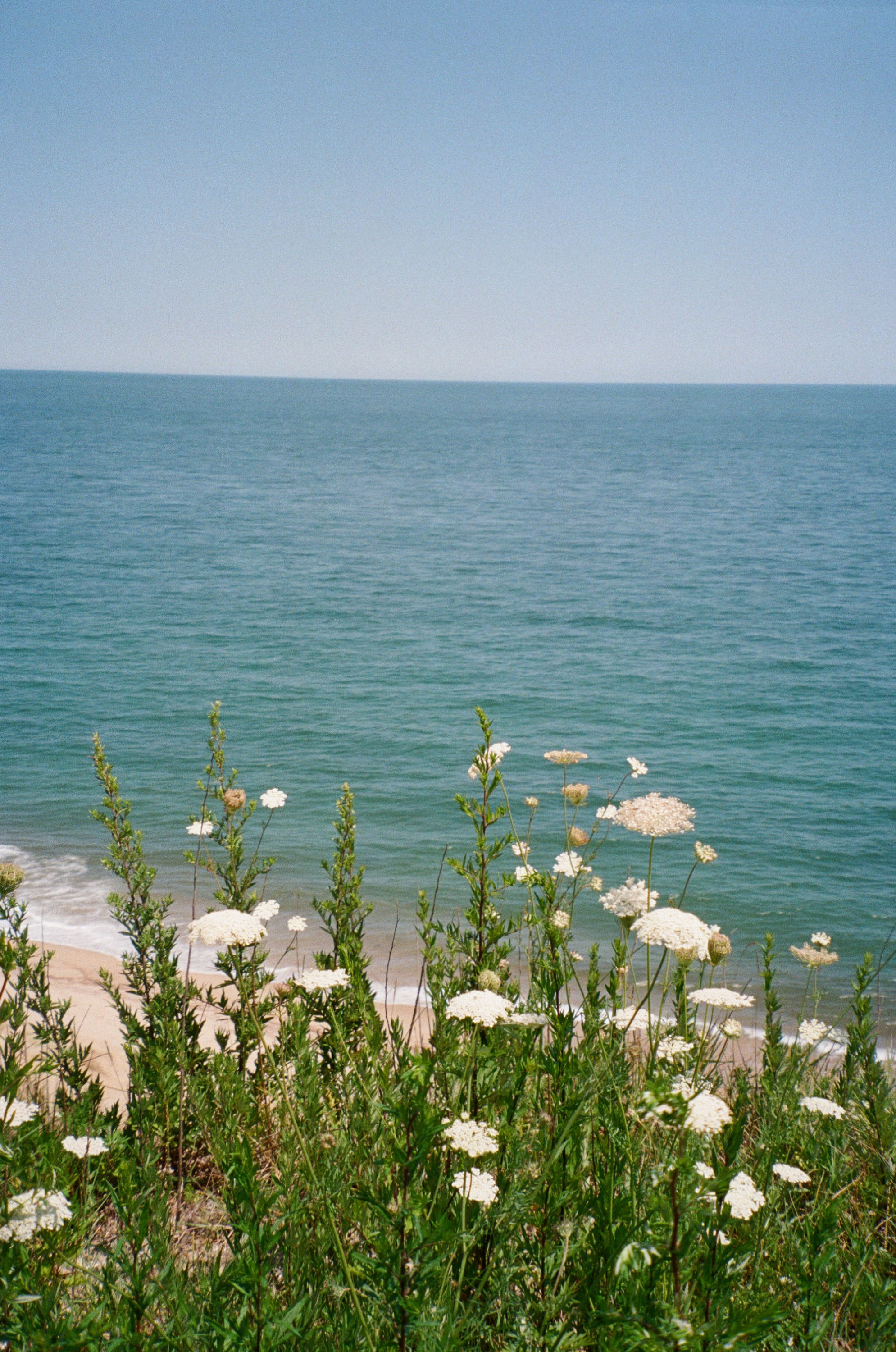 Off The Deep End Print