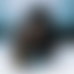 RESPECT, DESCRIPTION AND IMPULSIVITY