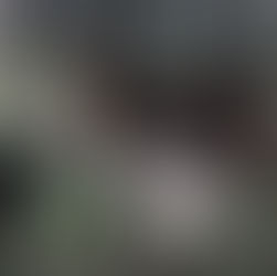 WE TAKE CARE OF WHAT IS OURS