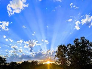 WE KEEP PEOPLE MOVING