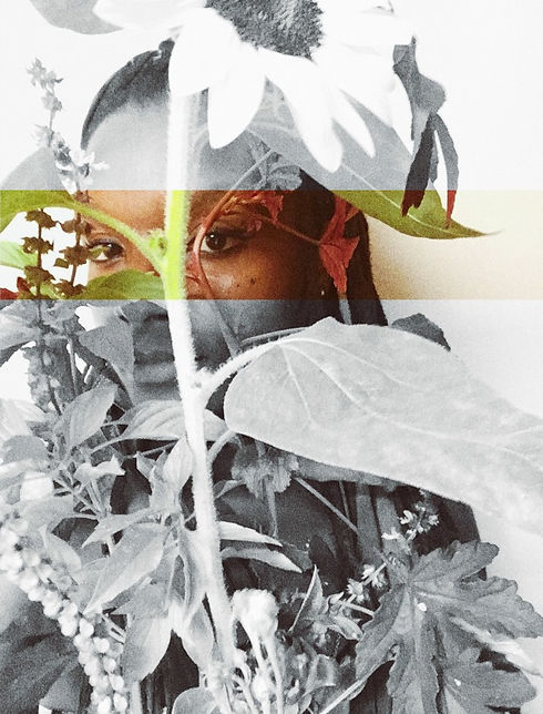 artnatureme_edited.jpg