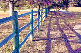 dad fence.jpeg
