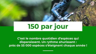 Le Saviez-Vous ? #8