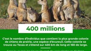 Le Saviez-Vous ? #33