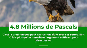 Le Saviez-Vous ? #31