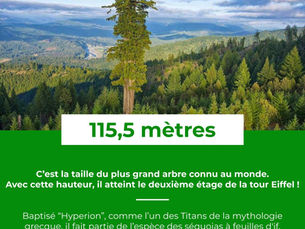 Le Saviez-Vous ? #34