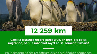 Le Saviez-Vous ? #32