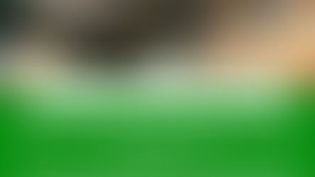 Le Saviez-Vous ? #27