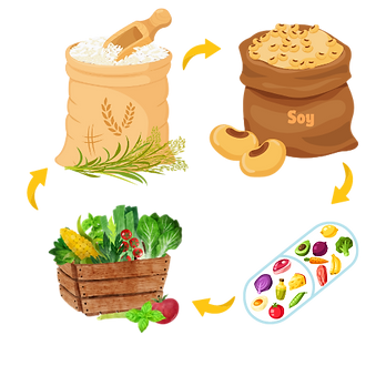 Rice Ingredients Logo.png