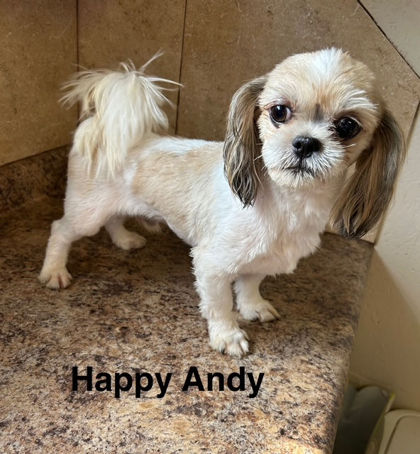 HAPPY ANDY